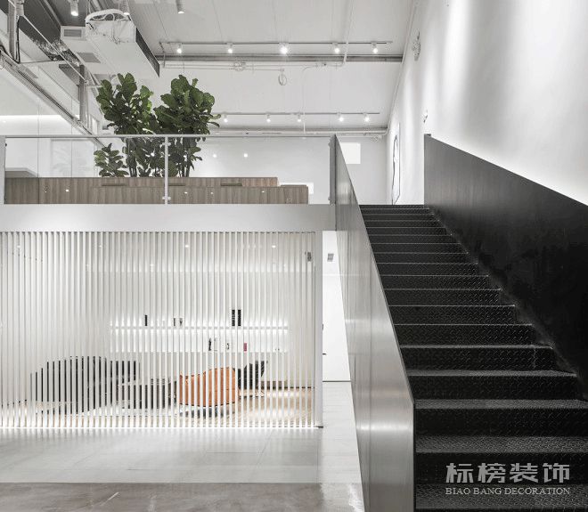 辦公室植物擺放植物有哪些，怎么擺放比較好？